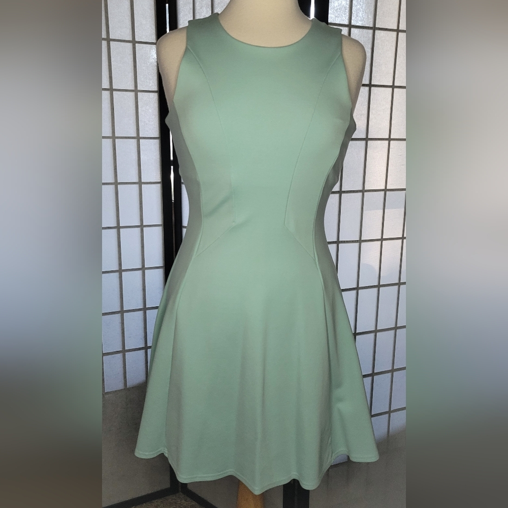 Black Swan Size S Dress in Mint